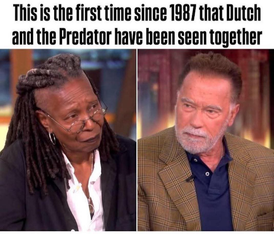 dut.jpg