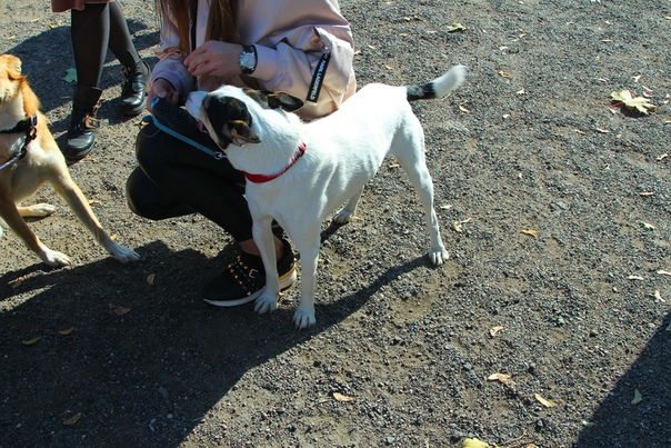 F3AE816A-7074-4019-96C3-9B7D26D0B446