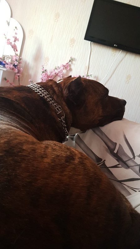 BC597CB8-556B-44AC-9C09-C7D7E9005B72