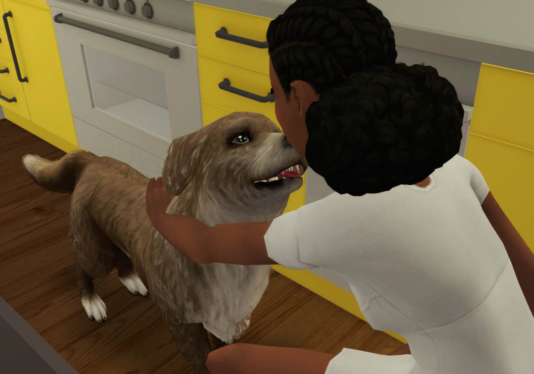 Sims2-EP9-RPC-2023-02-21-12-34-58-77
