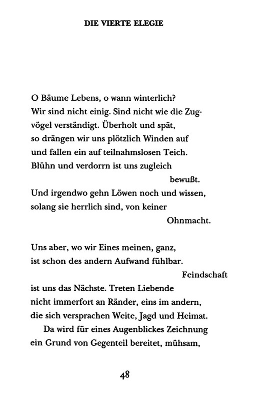rilke-sonety-k-orfeyu-page-0049