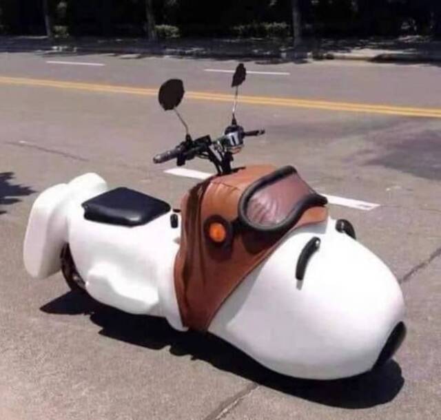 picdump-kw40-2021-053.jpg
