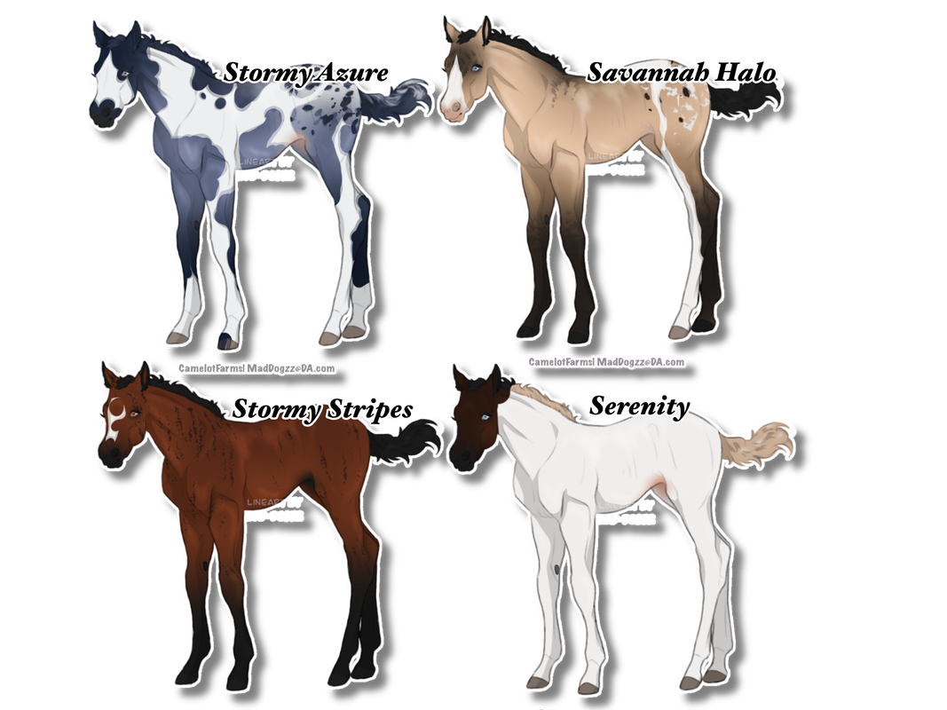 54-F5-F31-F-09-EA-4-CA2-B9-F7-C299611-D6-C2-C.png