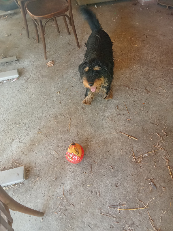 IMG-20260804-084238.jpg