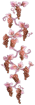 Rosé_Sidebar_Left