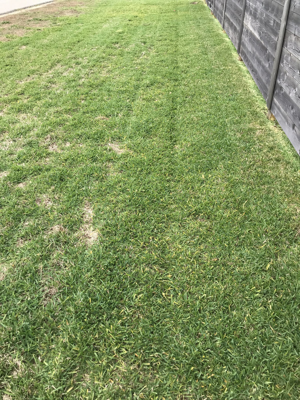 DFD54BF0-E7AB-482C-BF00-C0BED479E824