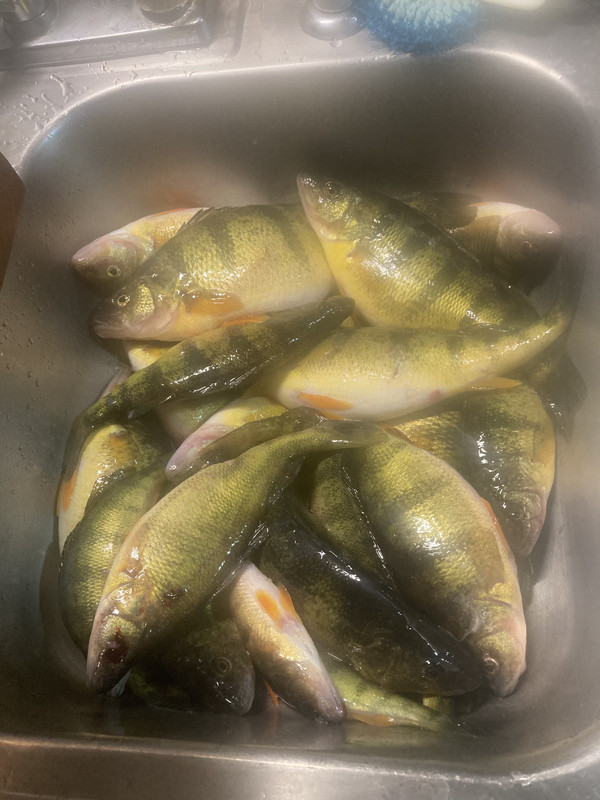 CA2EE7A5-06ED-4FB4-BAF5-E557DC44C7C7