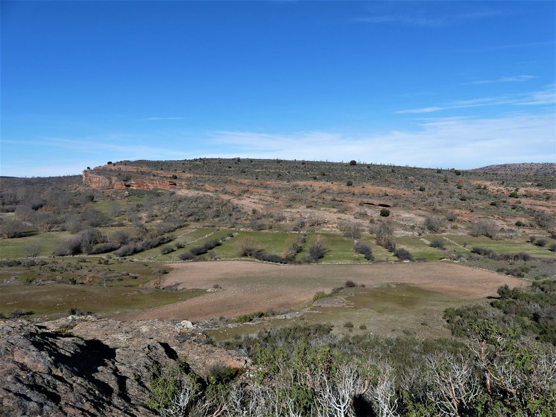 YACIMIENTO ARQUEOLOGICO DE TIERMES-16-2-2020 - Soria y sus pueblos-2010/2013/2020 (59)