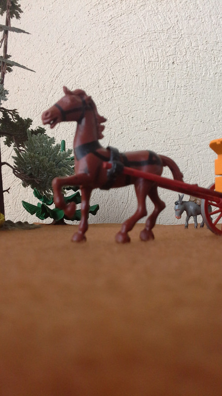 Carromato 07