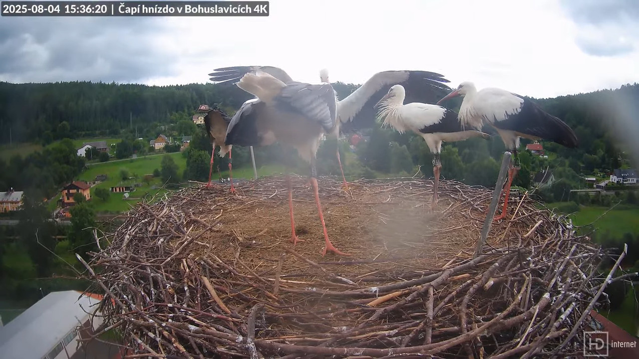 Tiešraide no KARA uzņēmuma stārķu skursteņa Bohuslavicē netālu no Trutnovas 14-49-8 screenshot