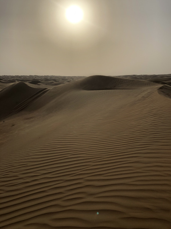 128D13DE-3CFF-481C-B46F-840864EEAD8D