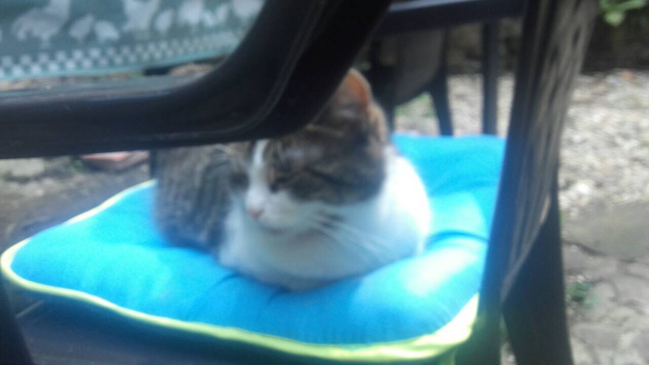 7713ABB1-9374-46FF-9B1D-18DCE9696AC6