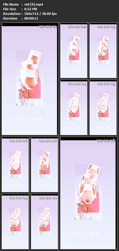 vid (9).mp4