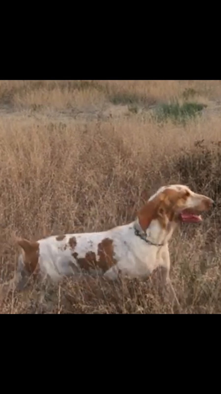 992A06DF-8A9B-46A1-931A-47151F3BF594