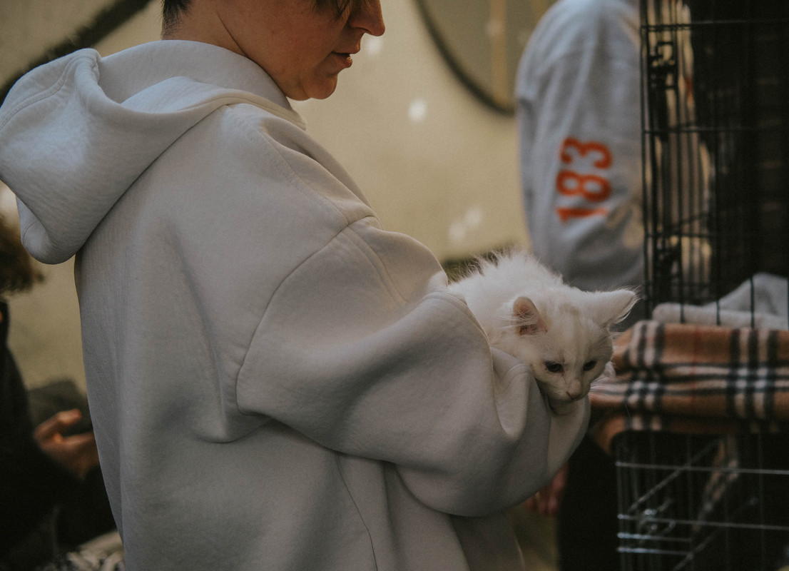 AC7FDE21-70BE-4B1A-A01B-B28080BF5AB4