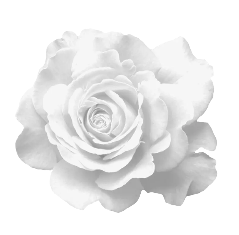 white 80