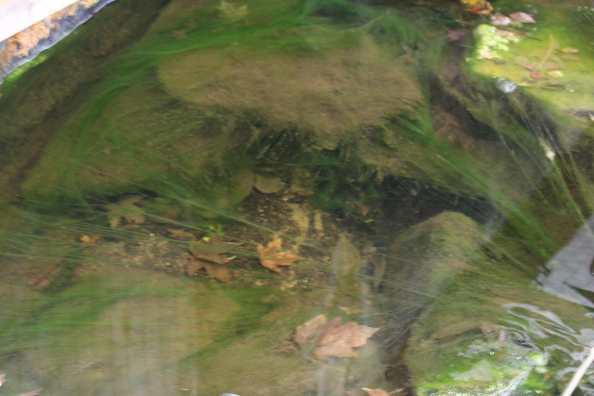 IMG-2483.jpg