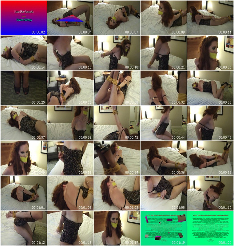 0496BD.wmv
