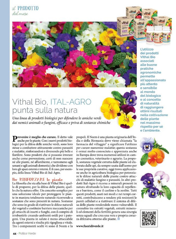 Pol Ver Gen 2023 (7)