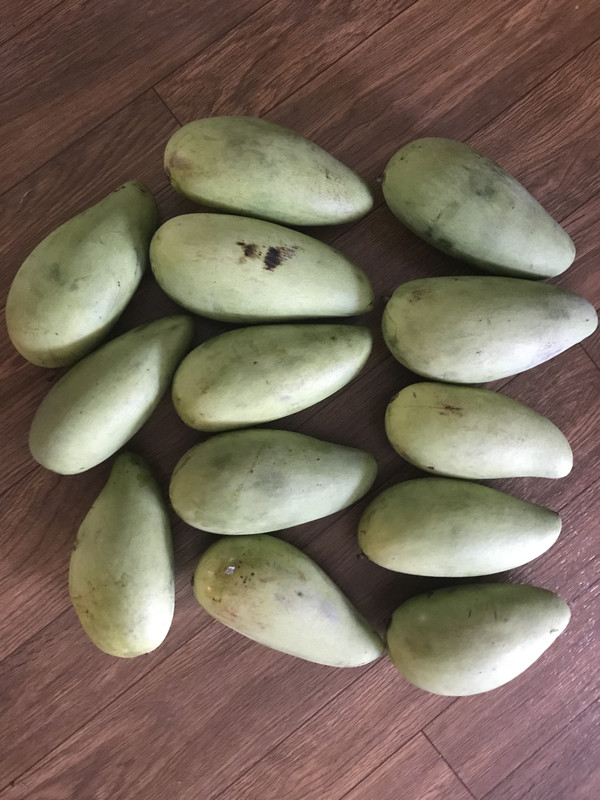 DBF9577B-960F-4DAD-8CEC-A445CB852003