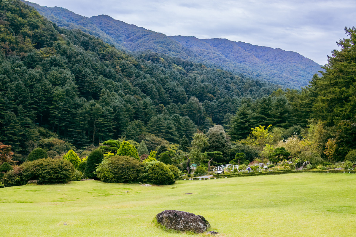 korea2024LRexport-39