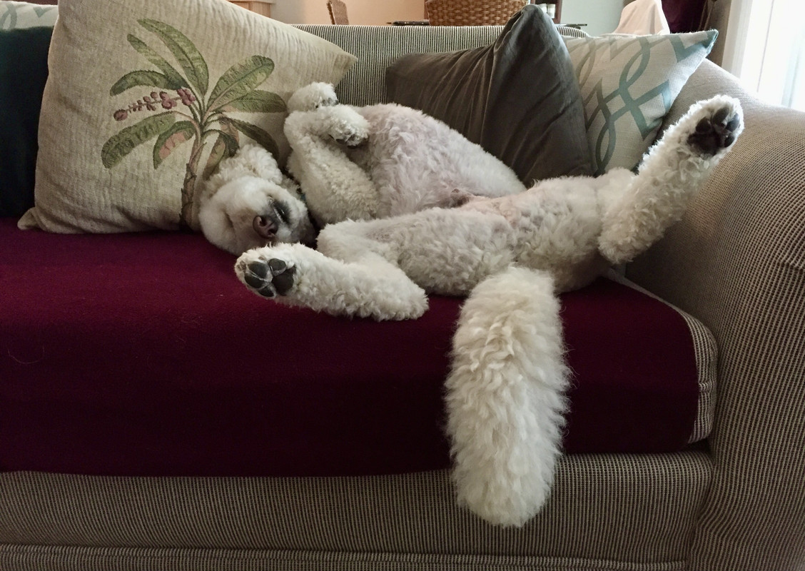 6CC2B471-581F-4809-A5BB-1C15DDA2B7C4