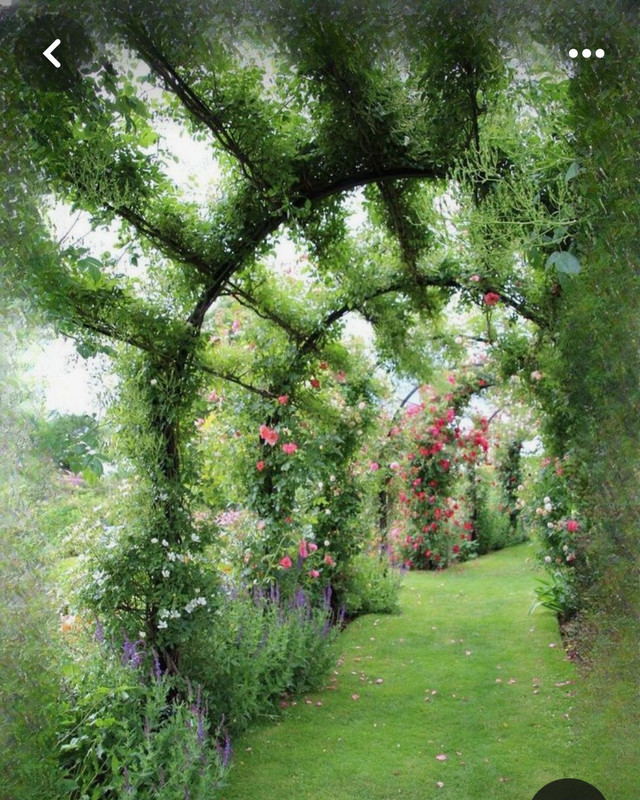 Screenshot_20240507_174221_Pinterest