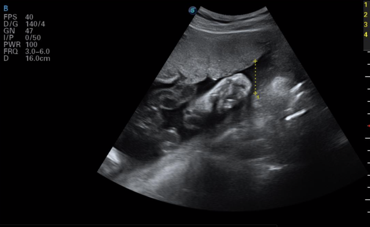 Schermafbeelding 2020-12-25 om 20.46.55
