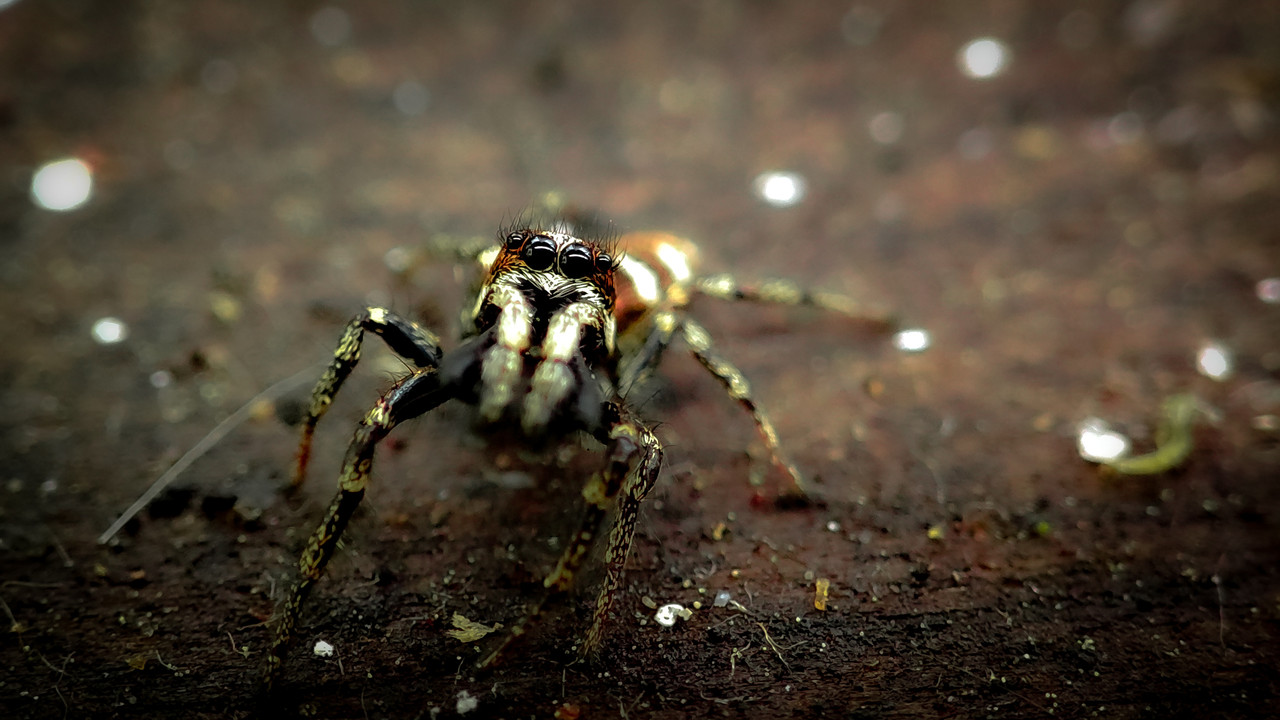 IMG_20210607_141613(1)