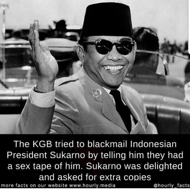 [Obrazek: kjoji50zw1811.jpg]