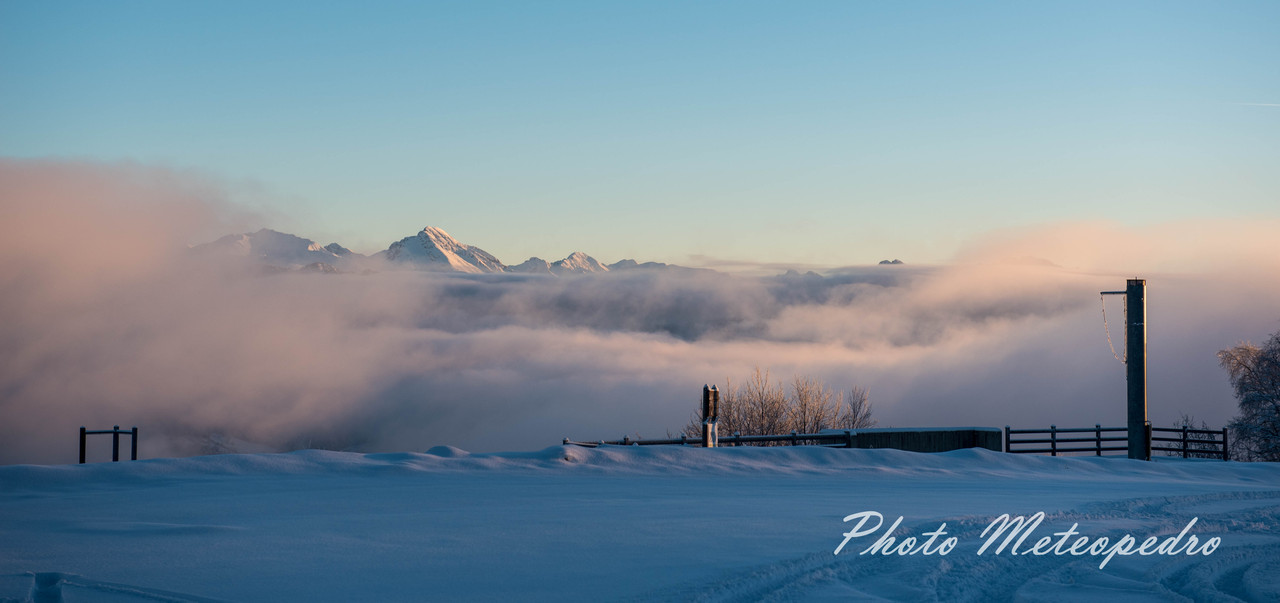 After the snowfall (5)
