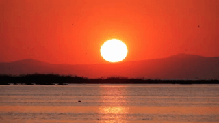 https://i.postimg.cc/N0bpVrJr/buildgif-com-1557380.gif