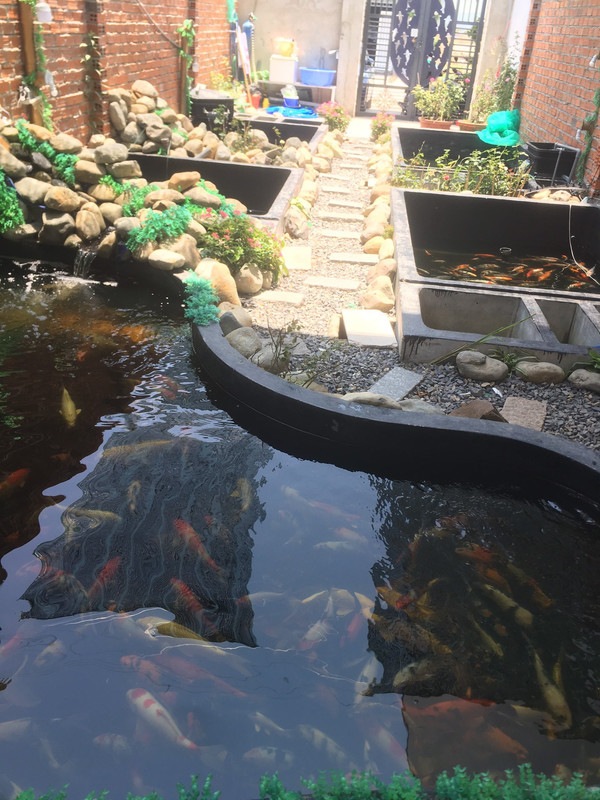 99430934_2610926072461464_7034680222054088704_o