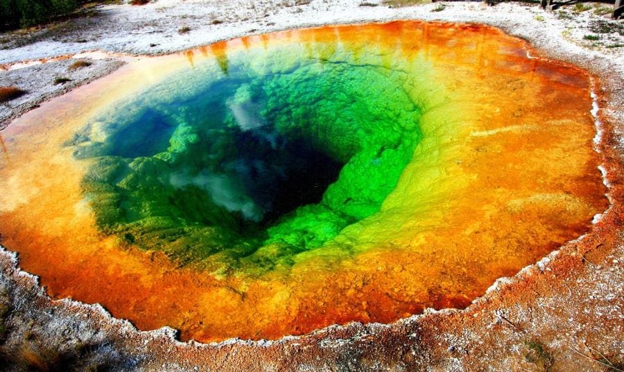 Самыми термоустойчивыми фотосинтезирующими организмами являются цианобактерии, обитающие в горячих источниках Йеллоустонского национального парка Самыми термоустойчивыми фотосинтезирующими организмами являются цианобактерии, обитающие в горячих источниках Йеллоустонского национального парка