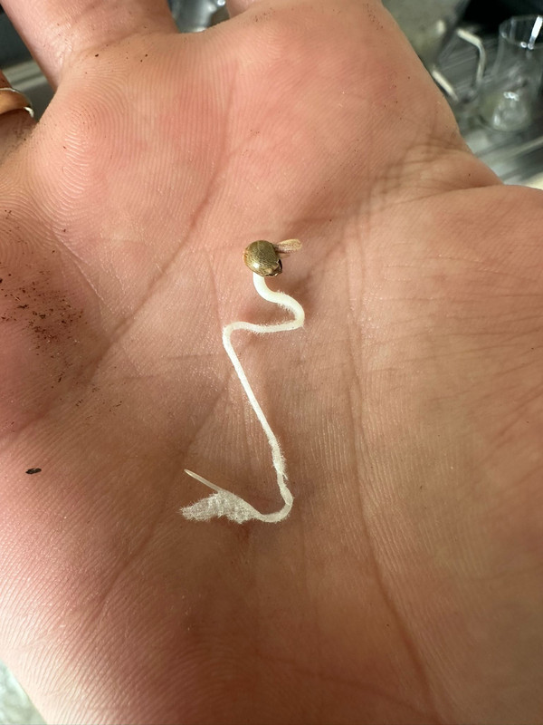 4a07243c-b94b-44ff-aa45-60720fae854a - Kopya