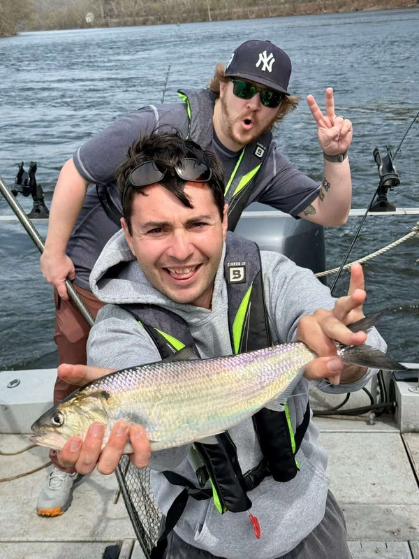 FB_IMG_1745149936310