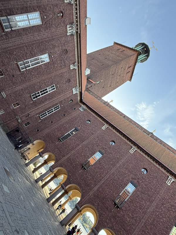 IMG-9512.jpg