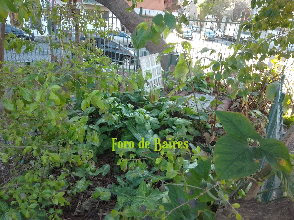 fotohomenajecroma-on3