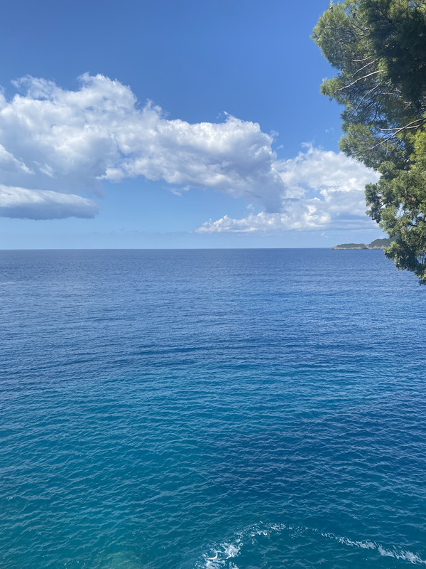 72C1B8C6-66E8-4304-862E-6A8CF4648564