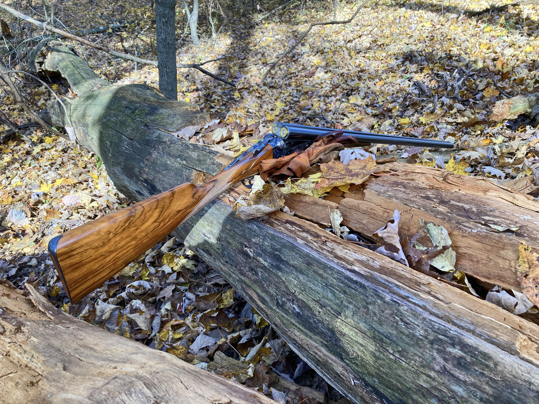 2024-10-23 7 Ruffed Grouse (Parker Reproduction)