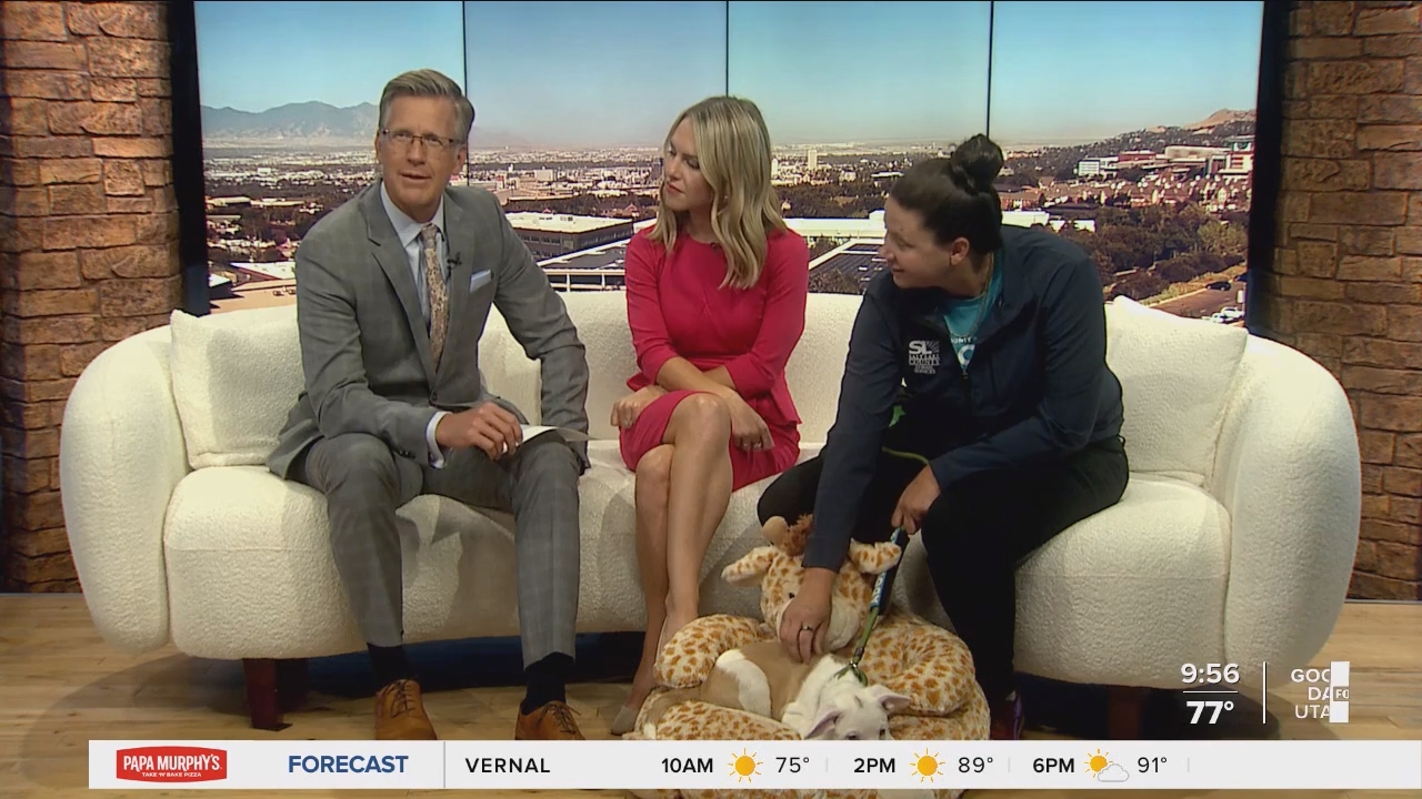 08.01 - 16.00.00 - FOX13 News  Good Day Utah 9AM  ᴺᵉʷ. Utah news, wea....ts_snapshot_00.57.32.267
