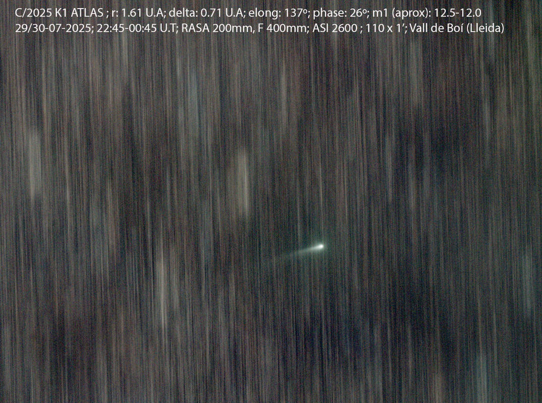 C2025K1_20250729_DID m