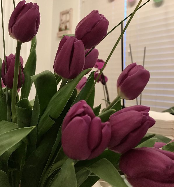 [Image: 3509249-A-349-A-4076-AC06-651905-D867-D7.jpg]