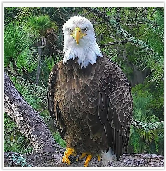 Screen Shot 09-13-22 at 09.18 AM 001