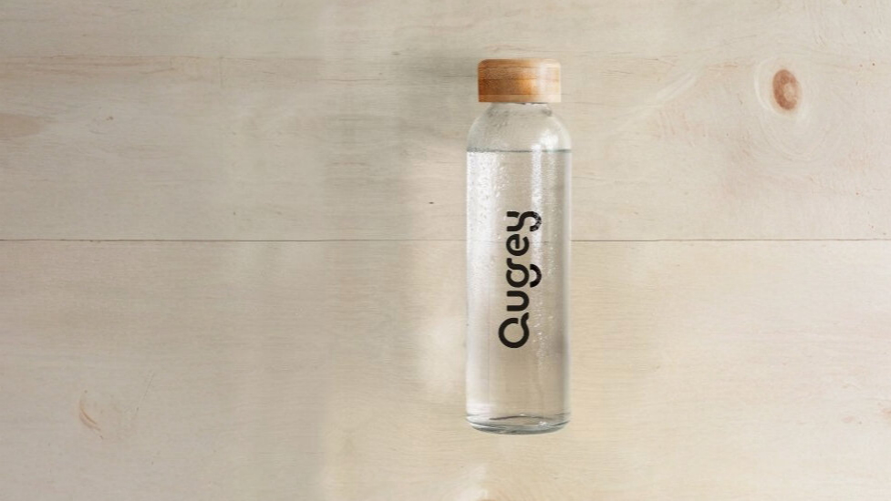 0002061-botella-tonic-550-1.jpg