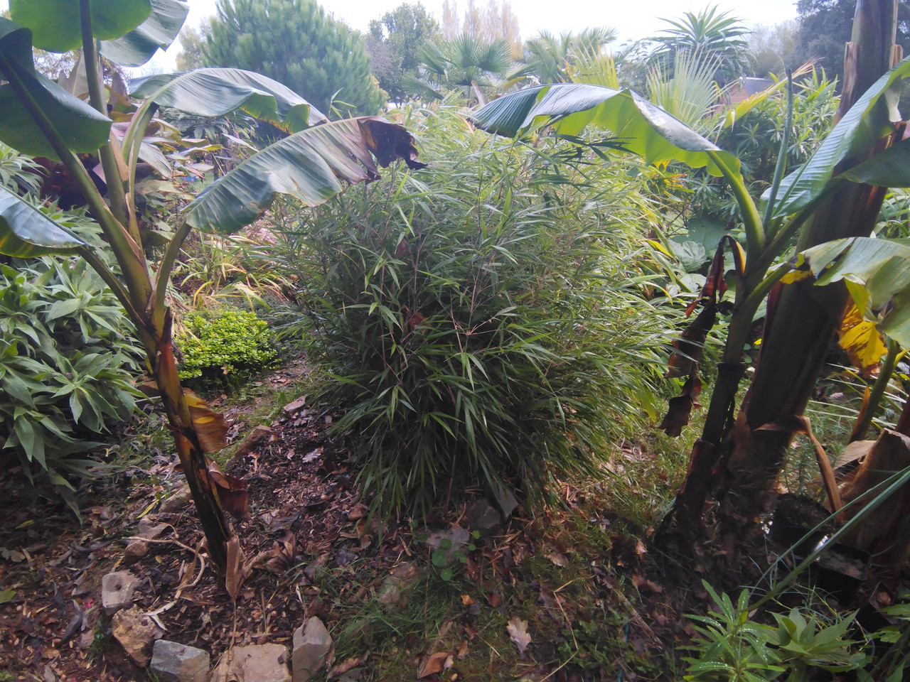 IMG 20261010 091340892