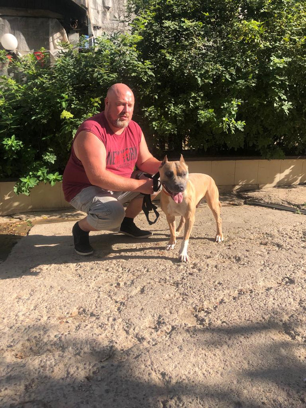 E3C6BDA6-DAB4-468F-853C-1FCDD4C9DB8F