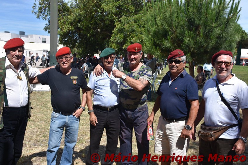 19023352_1489115101141386_5138917186955011253_o