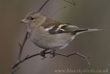 657C8ED0-1946-4DC5-AC79-C78DC43AB9F0