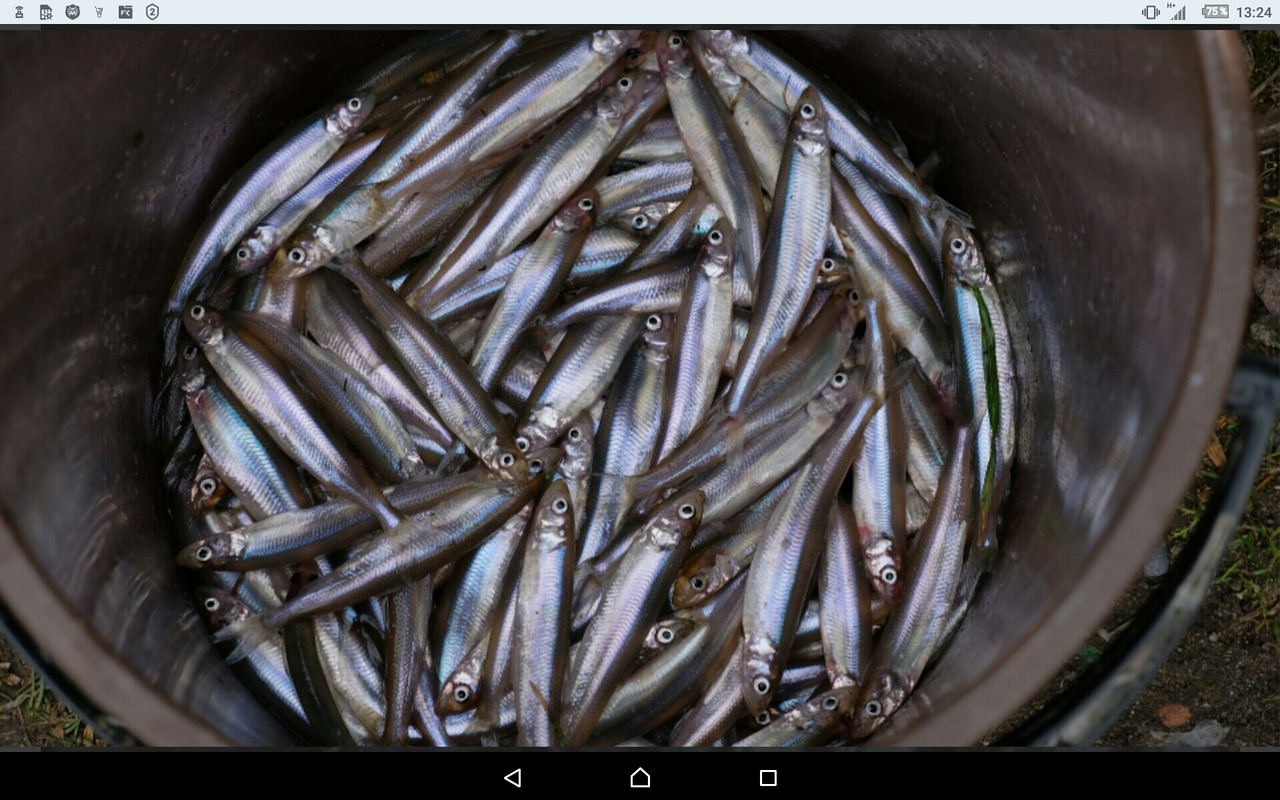 Screenshot_2023-03-24-13-24-38